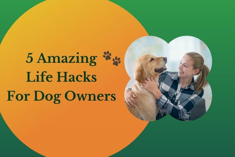Life Hacks For Dog Owners
