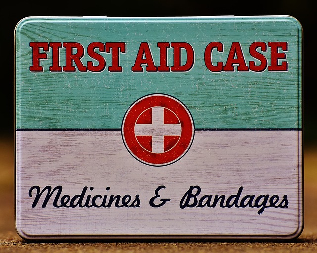 first-aid kits for dogs