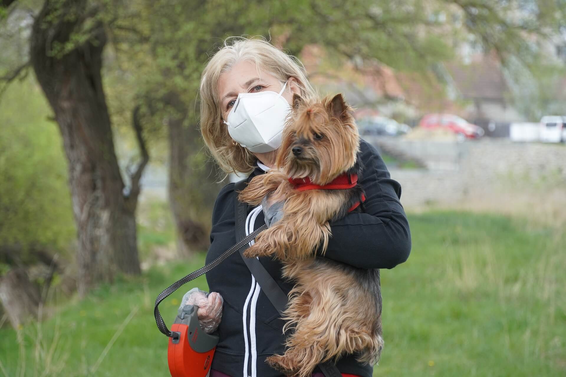 5 Steps to Keep your Dog happy and busy during Quarantine – Doo Care